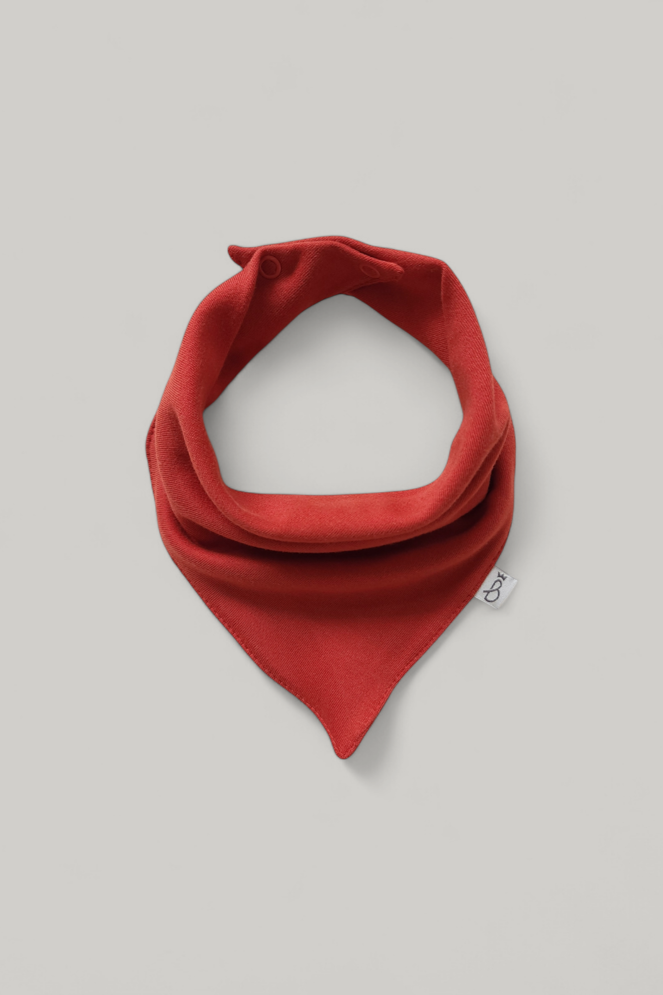 photoroom 20241027 122054